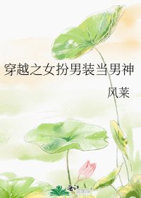 穿越之女扮男装当男神