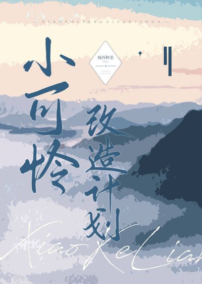小可怜改造计划