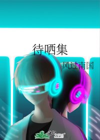 待哂集