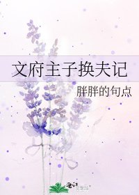 文府主子换夫记