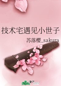 技术宅遇见小世子