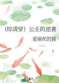 (综清穿)公主的逆袭
