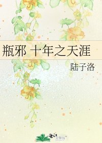 瓶邪 十年之天涯
