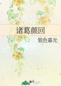 诸葛颜回