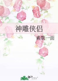 神雕侠侣