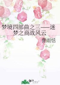 夢境四部曲之三——迷夢之商戰風雲
