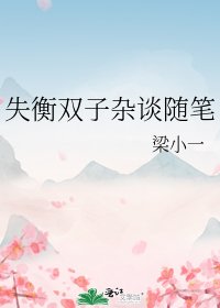 失衡双子杂谈随笔