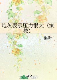 炮灰表示压力很大(家教)