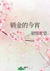 銷金的今宵