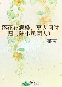 落花夜滿樓,離人何時歸(陸小鳳同人)
