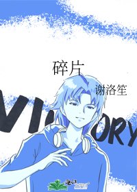 碎片