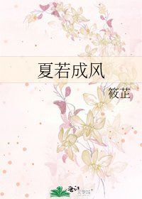 夏若成风
