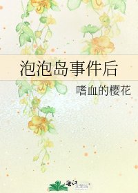 泡泡島事件後