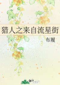 猎人之来自流星街