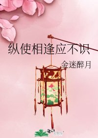 縱使相逢應不識
