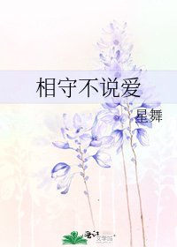 相守不說愛