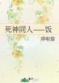 死神同人——饭