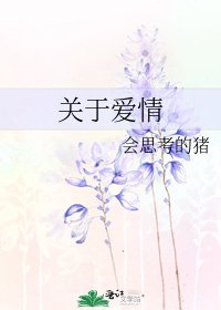 关于爱情