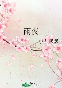 雨夜