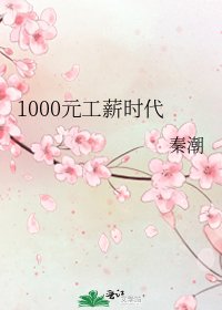 1000元工薪时代