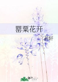 罂粟花开