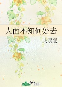 人面不知何处去