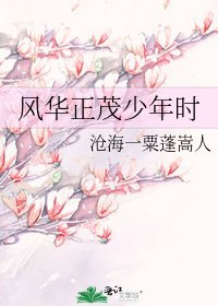 风华正茂少年时