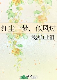 红尘一梦,似风过