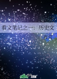 看文笔记之一:历史文