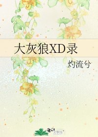 大灰狼XD錄