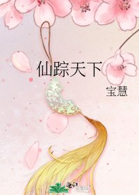 仙蹤天下