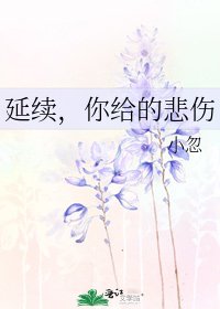 延续,你给的悲伤