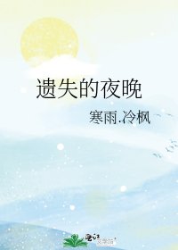 遺失的夜晚