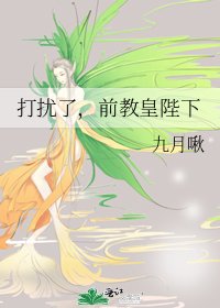 打扰了,前教皇陛下