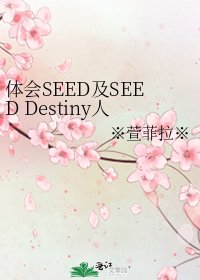 體會SEED及SEED Destiny人物