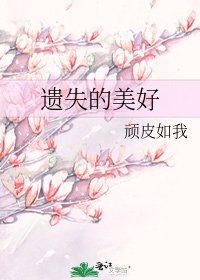 遗失的美好