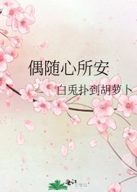 偶随心所安