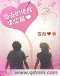 逝去的諾言追憶篇