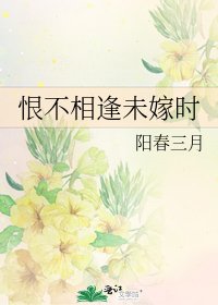 恨不相逢未嫁时