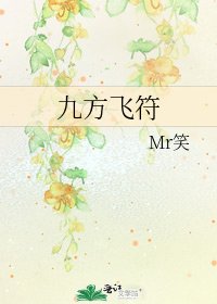 九方飛符
