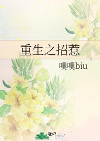 重生之招惹