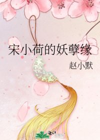 宋小荷的妖孽缘