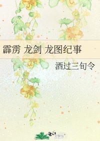 霹雳 龙剑 龙图纪事