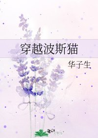 穿越波斯貓