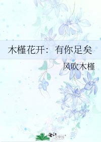 木槿花开:有你足矣