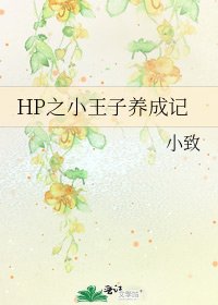 HP之小王子养成记