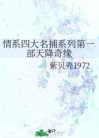 情繫四大名捕系列第一部天降奇緣
