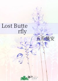 Lost Butterfly