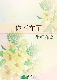 你不在了