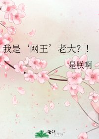 我是‘网王’老大?!